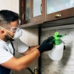 Keeping Your Home Pest-Free