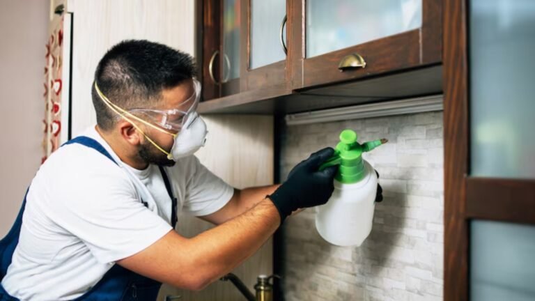 Keeping Your Home Pest-Free