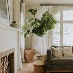 Energy-Efficient Windows: Reduce Your Utility Bills
