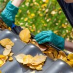Top Home Maintenance Tips for Every Season